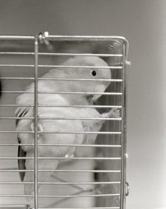 From a grade 11 photography project back in 2003.